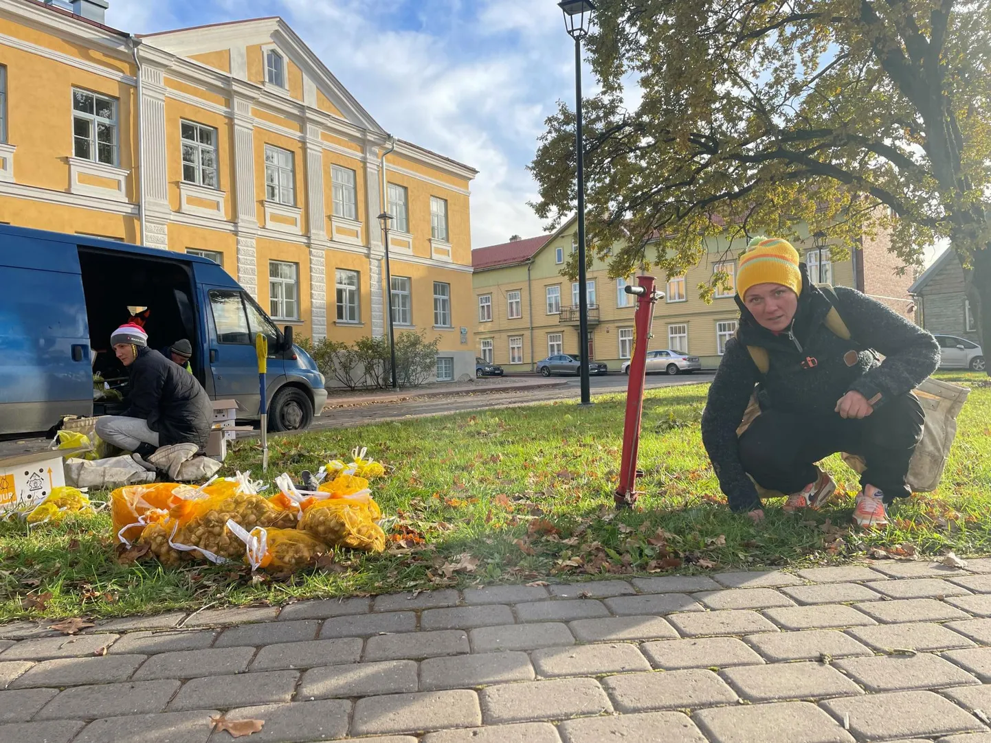 Ökopesa juhi Triin Peipsi sõnul oli ettevõtte töötajatel Viljandis ette võtetud kuus objekti ja plaanis maha panna 80 000 lillesibulat.