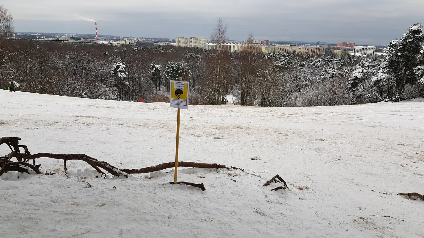 Фото статьи