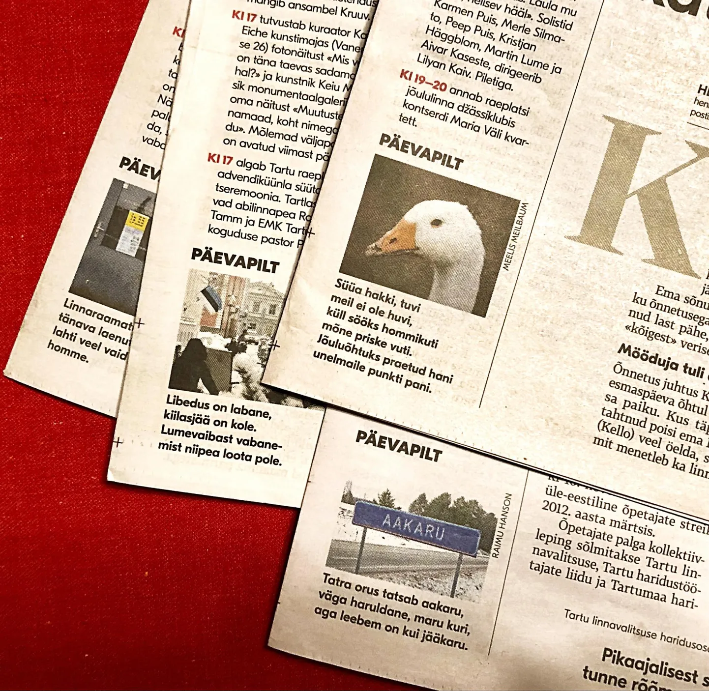 Tartu Postimehe rubriik «Täna», mille lõpus on alarubriik «Päevapilt», ilmub esileheküljel.