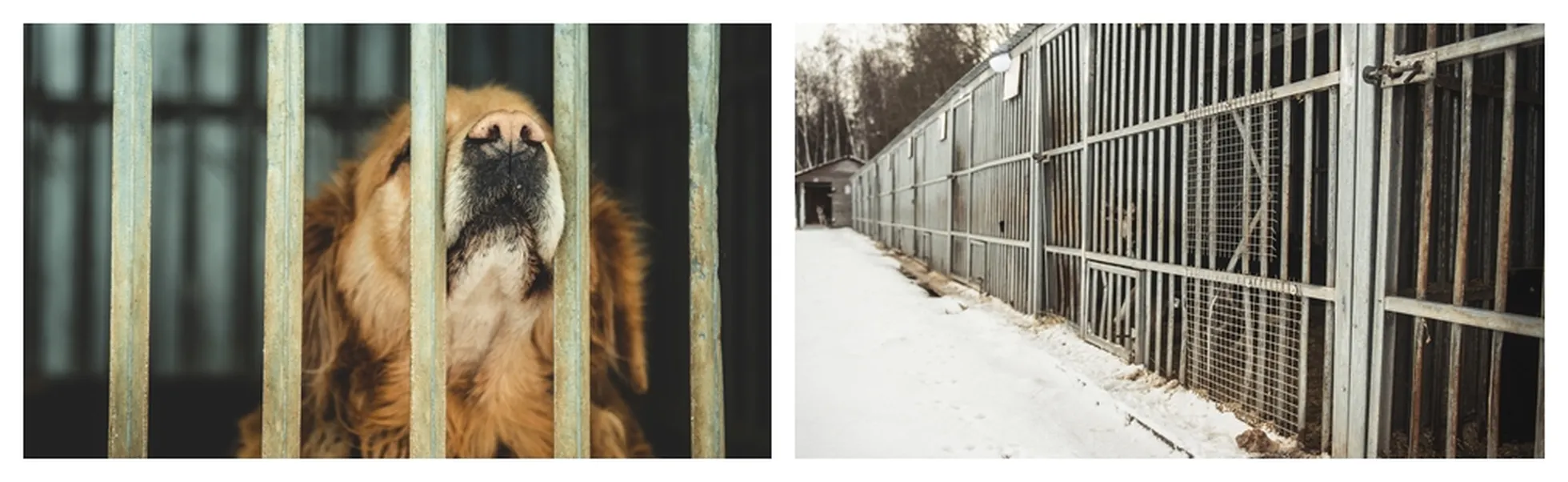 Фото статьи