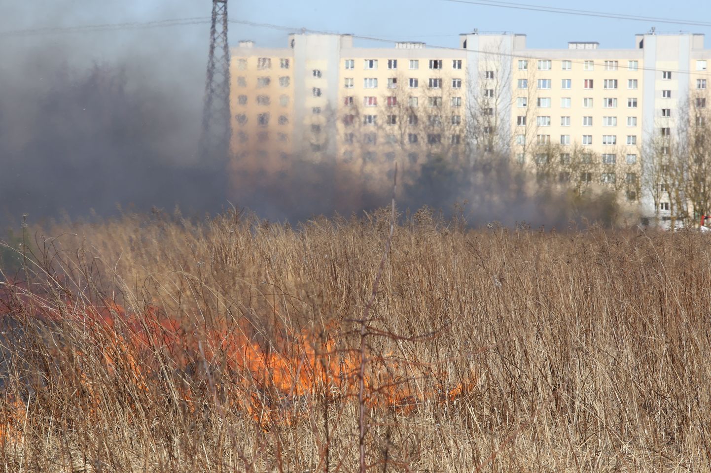 Пожар прошлогодней травы на улице Улборкас в Риге