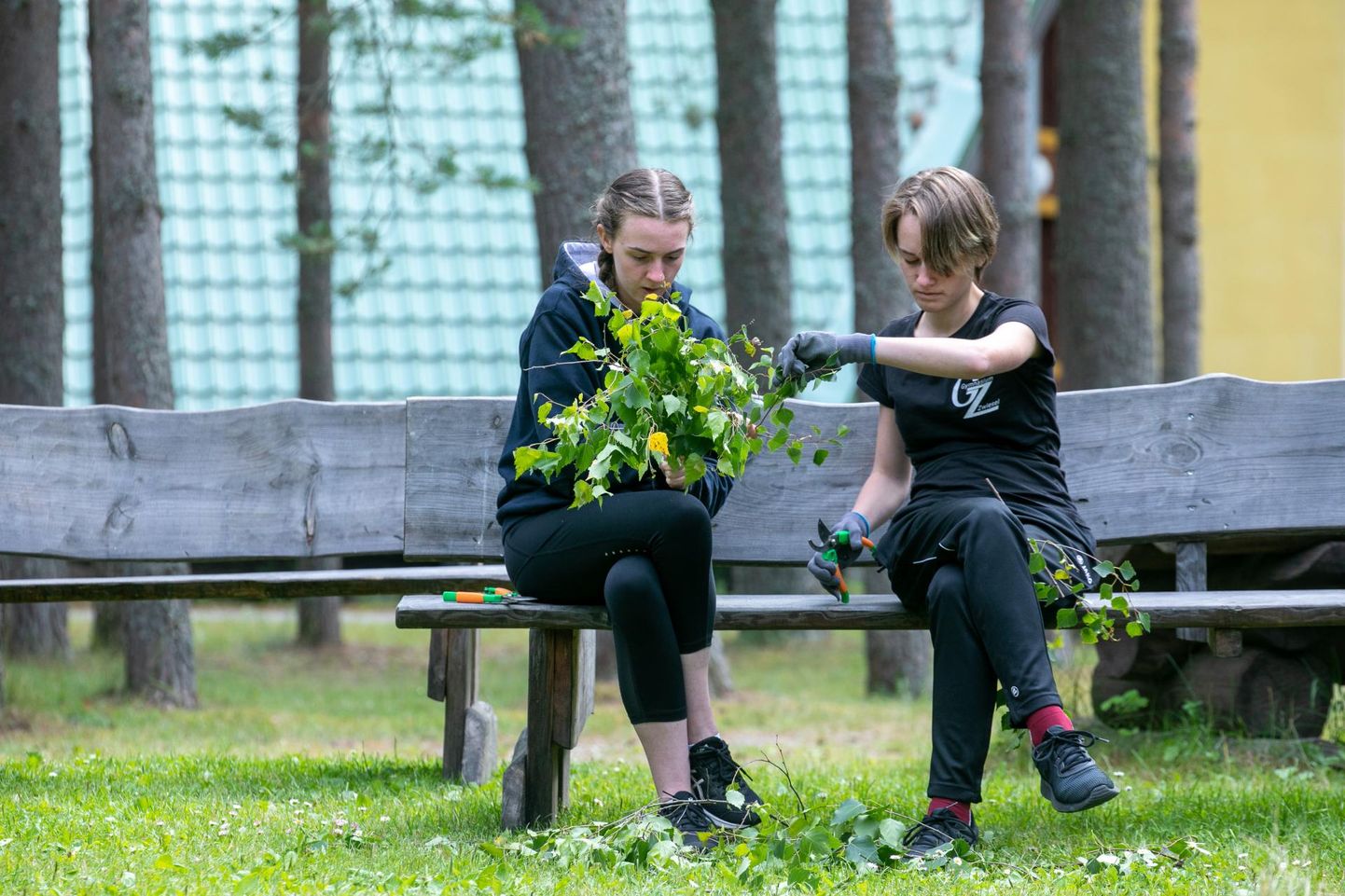 Matk loodusesse pakub noortele võimaluse taimedega tutvust teha. Pildil meisterdavad Lahemaal toimunud noorte looduskaitsjate rahvusvahelises laagris Junior Ranger osalejad kasevihta. 