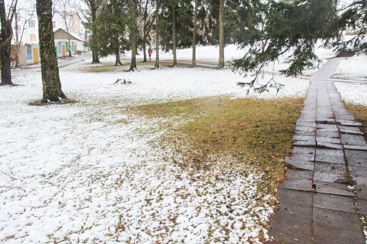 Esimene lumi Rakveres.