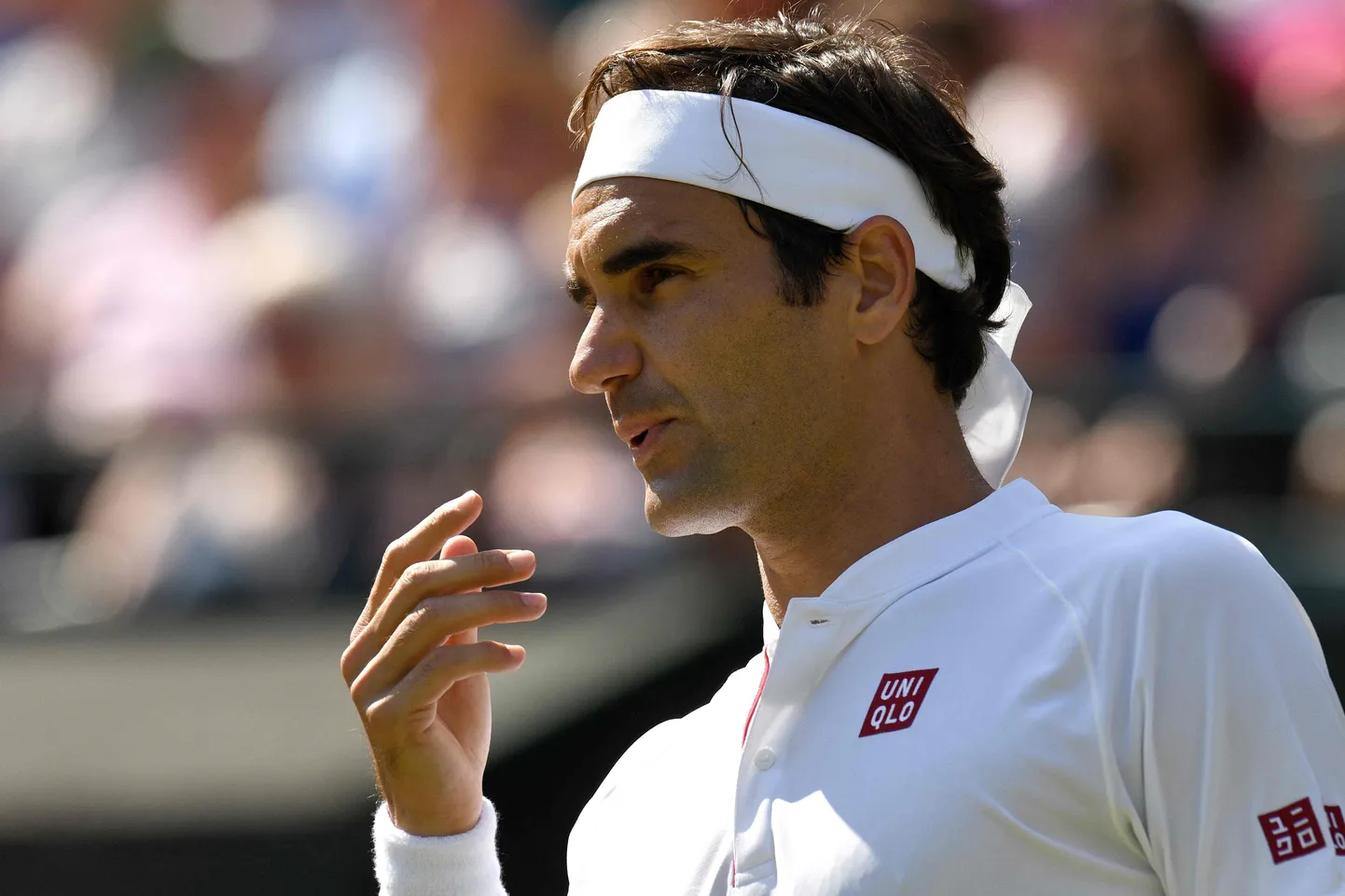 Roger Federer.