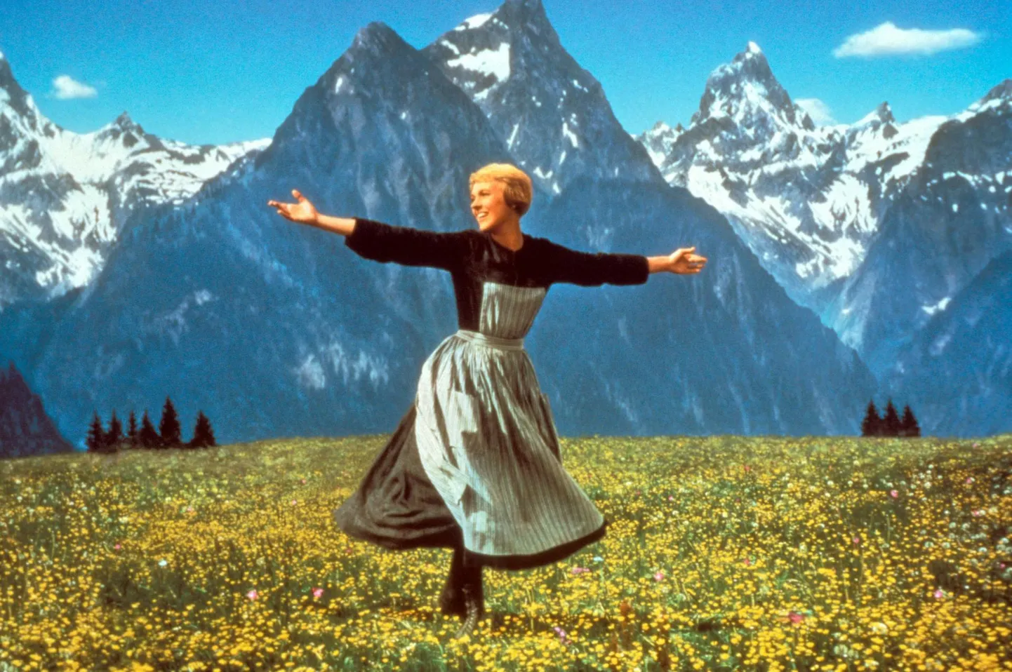 Religioossus, haritus ja konservatiivsus on seotud perekonda ja lapsi väärtustava eluviisiga. Pildil lesestunud mereväekapteni seitset last hoidma läinud noviits Maria (Julie Andrews) naispeaosalisena 1965. aasta filmis «Helisev muusika».