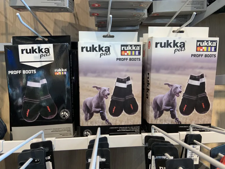Raksta foto