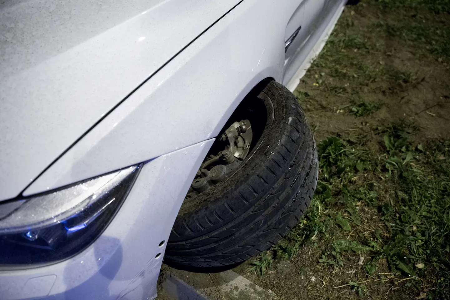 Raksta foto
