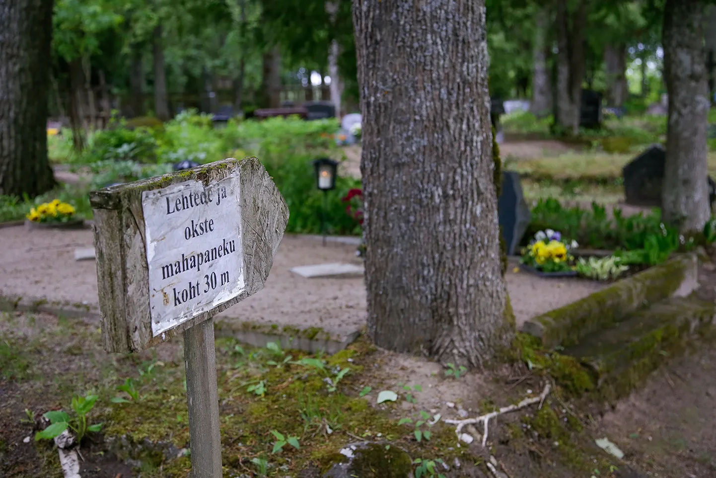 Sillaotsa kalmistu haldamine võib minna Paide Halduselt üle uuele teenuseosutajale.