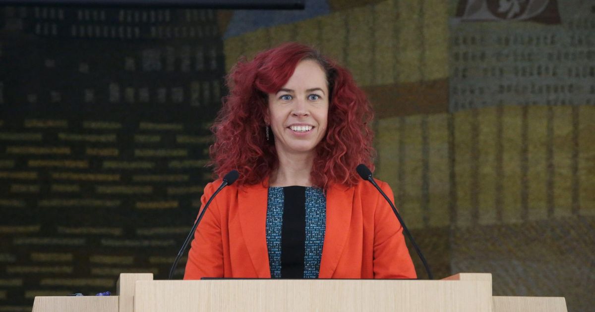 Social-democrații din Tartu l-au nominalizat pe fostul arhitect al orașului Bade drept candidat la alegerile europarlamentare