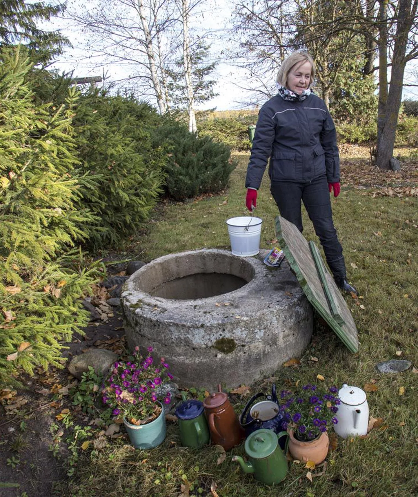 Rimmu lähistel Saksakülas Kingu talus elavat Urve Oloneni on veenappus kimbutanud terve suve. Varasematel aastatel pole tal seesugust muret olnud.