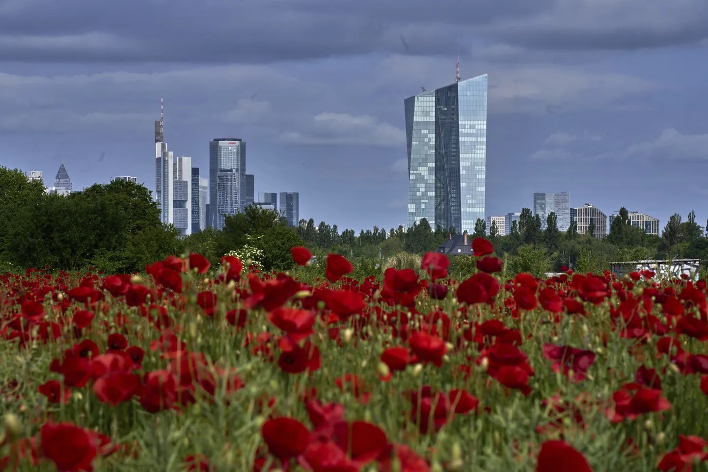 Euroopa keskpanga hoone Frankfurdis Saksamaal.