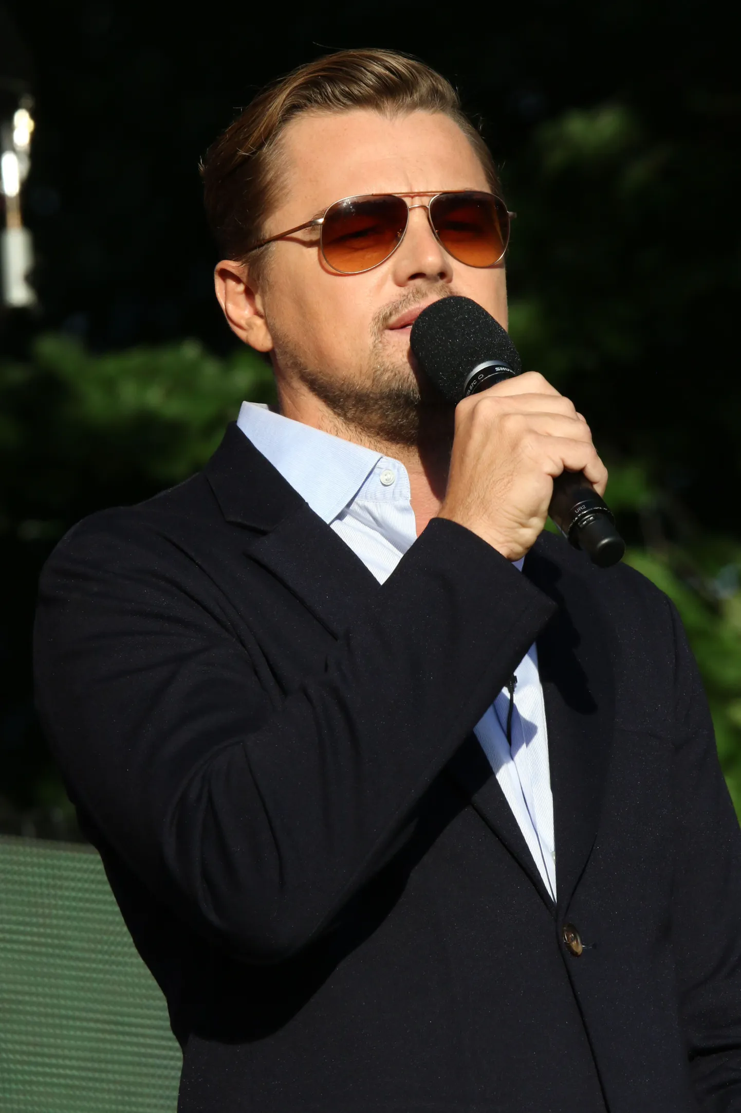 Leonardo DiCaprio