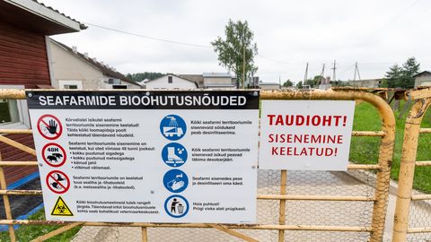 Farmid on sigade katkuks valmistunud hoolsamini kui kunagi varem