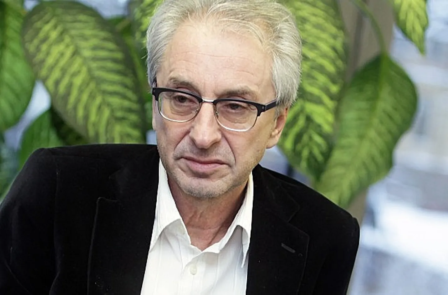 Raksta foto