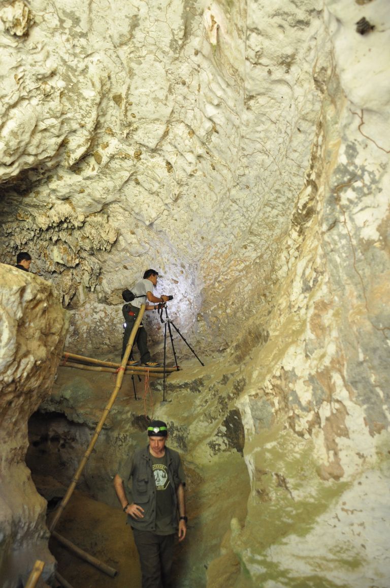 Indoneesia Sulawesi saare koopast Leang Bulu Sipong 4 leiti iidne joonistus, mille vanus on umbes 44 000 aastat