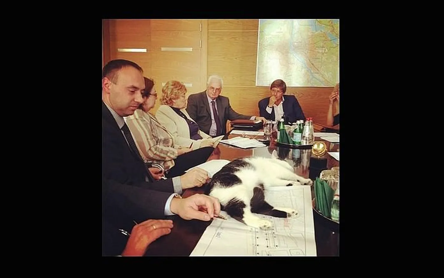 Raksta foto