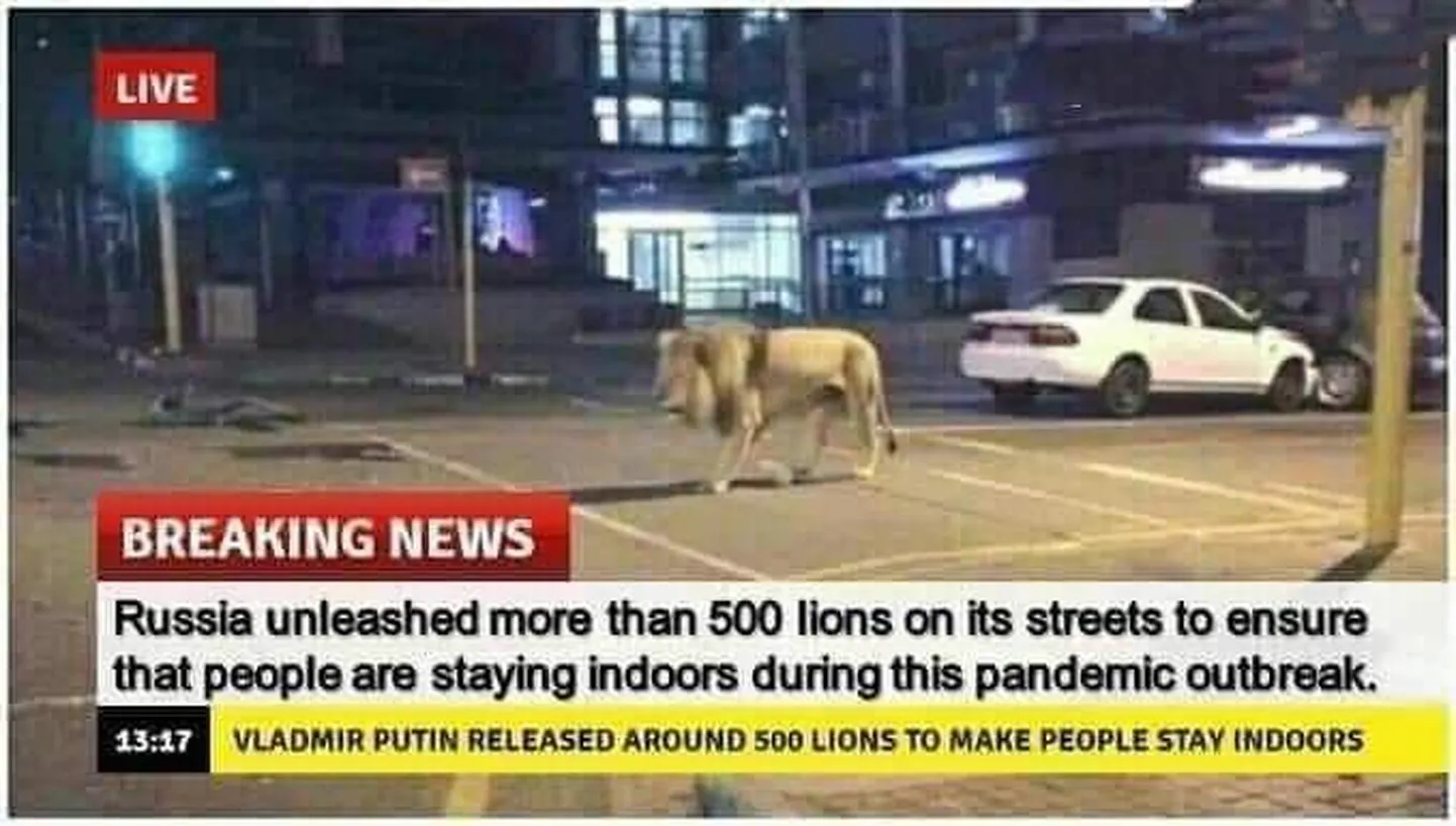Фейковая новость