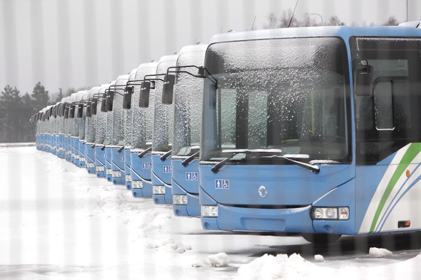 42 uhiuut Iveco-bussi seisab juba detsembri keskpaigast Paldiski sadamas ja pole sugugi välistatud, et need jäävad sinna aprillini.