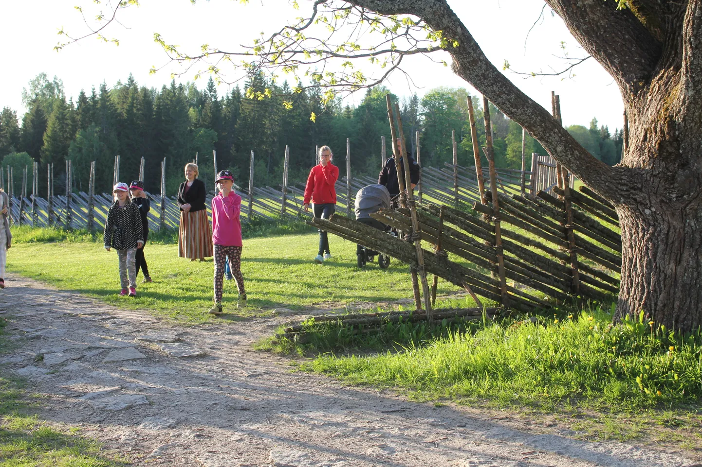 Muuseumiöö 2018, A.H.Tammsaare muuseum Vargamäel