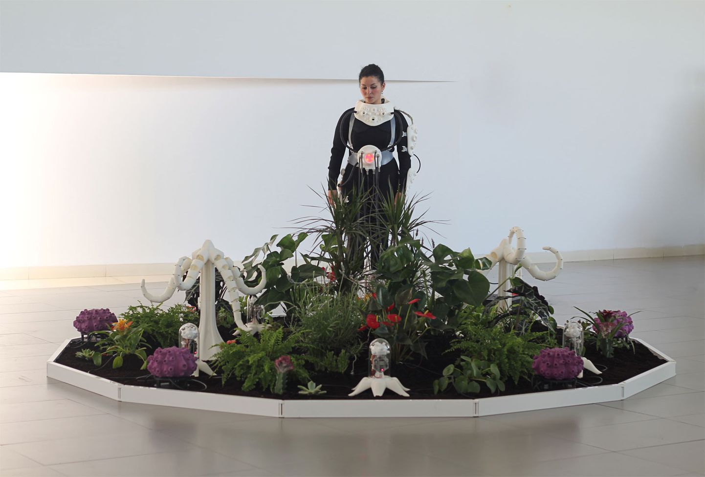 Marija Kastellanos un Alberto Valverde. Augu maņas (María Castellanos and Alberto Valverde, The Plants Sense). “LABoral” Mākslas centrā, Hihonā, Spānijā.