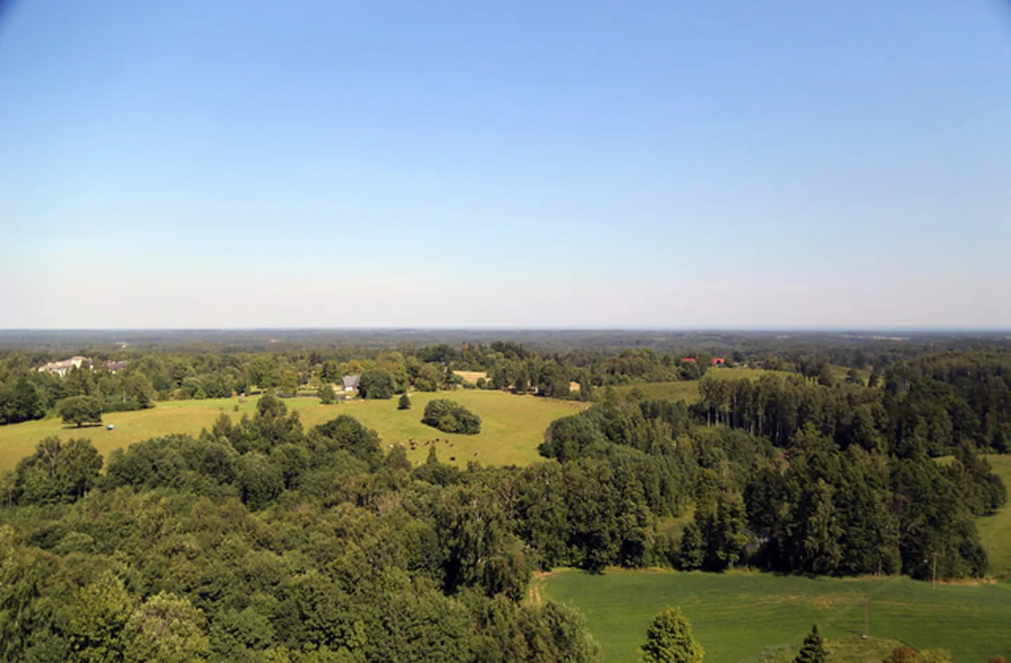 Raksta foto