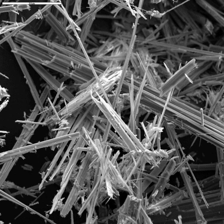 Asbesti ohtlikkus paljastub hästi elektronmikroskoobi all. Teravad nõelad jäävad hästi kudedesse kinni.