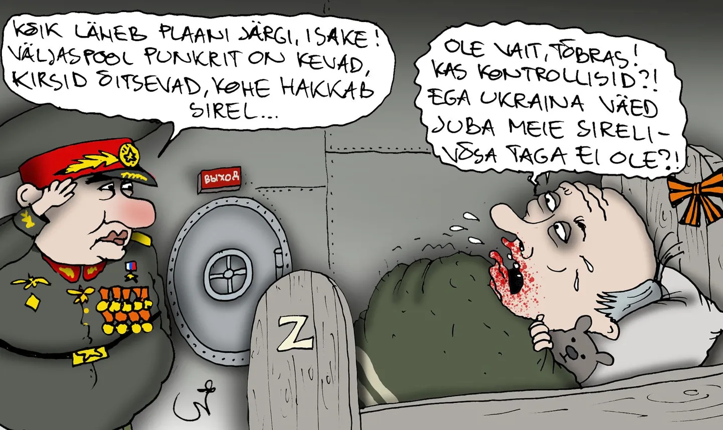 Artikli foto