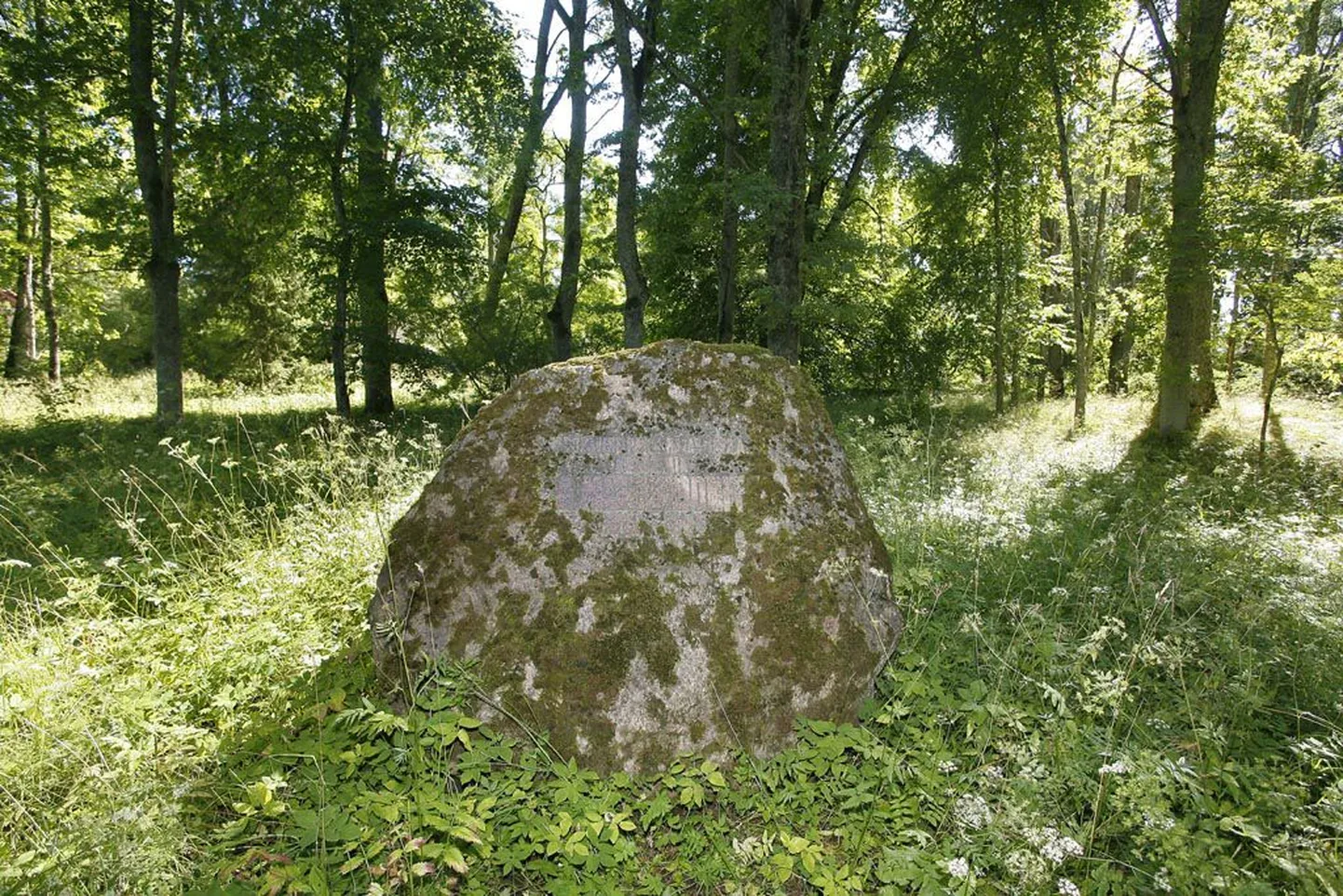 Pööravere mõisa pargis sammaldub zooloogiaprofessor Alexander Theodor von Middendorfile (1815-1894) kui mõisa omanikule paigaldatud mälestuskivi.