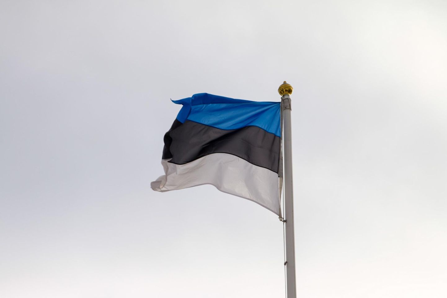 Eesti lipp lehvib.