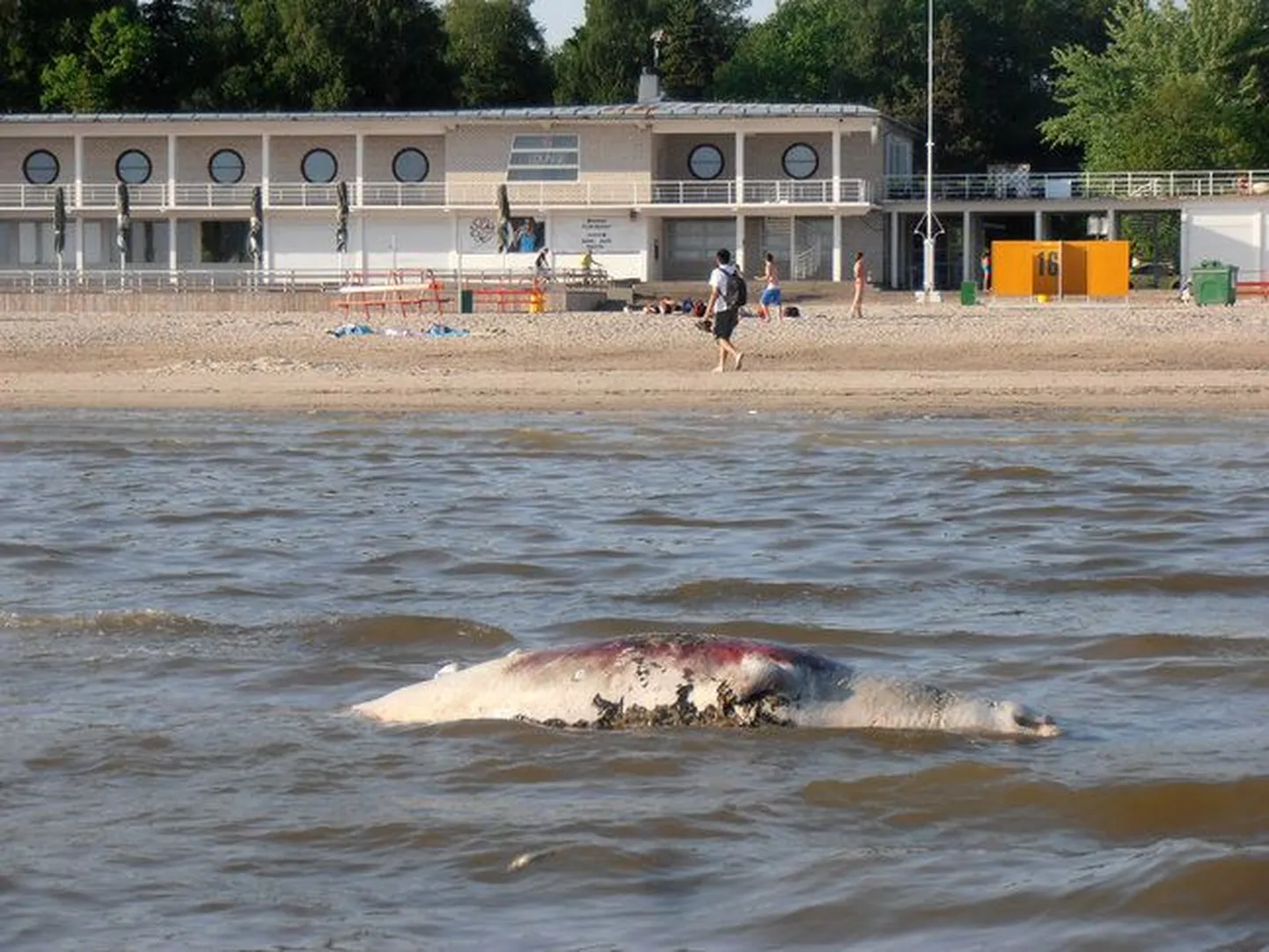 Фото статьи