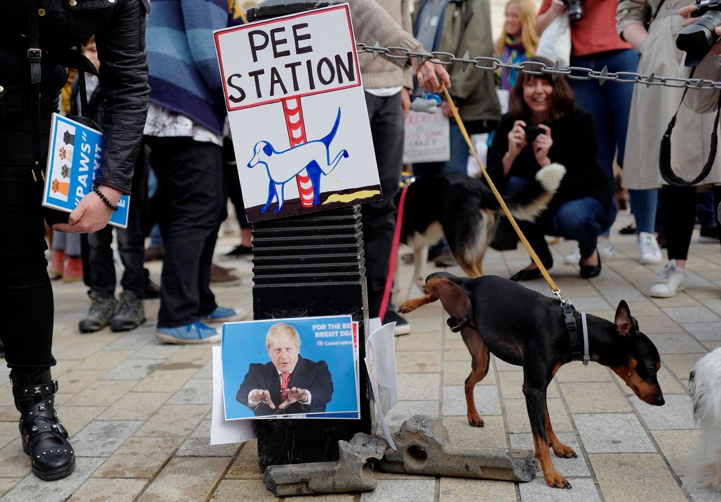 Ürituse raames seati üles pissipunktid, kus koerad said urineerida Brexiti-toetajate fotode peale.