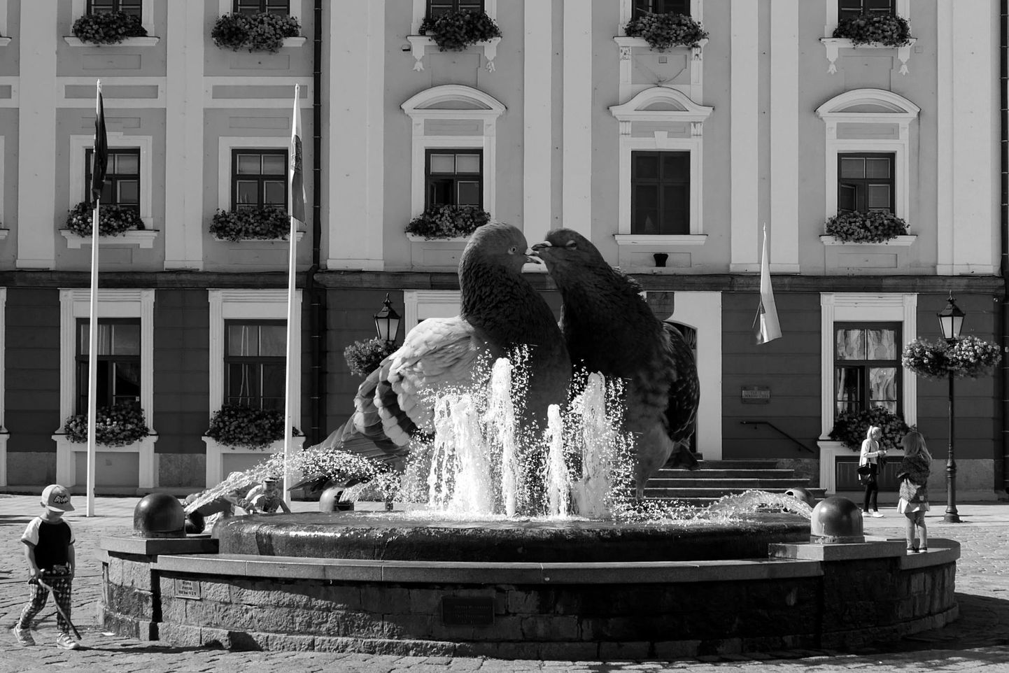 Mis oleks, kui Raekoja platsil oleks suudlevate tudengite asemel hoopis hiiglaslikud suudlevad tuvid, küsib Tartu linnakirjanik Juhan Voolaid fotonäitusel «Nihestatud Tartu 2».