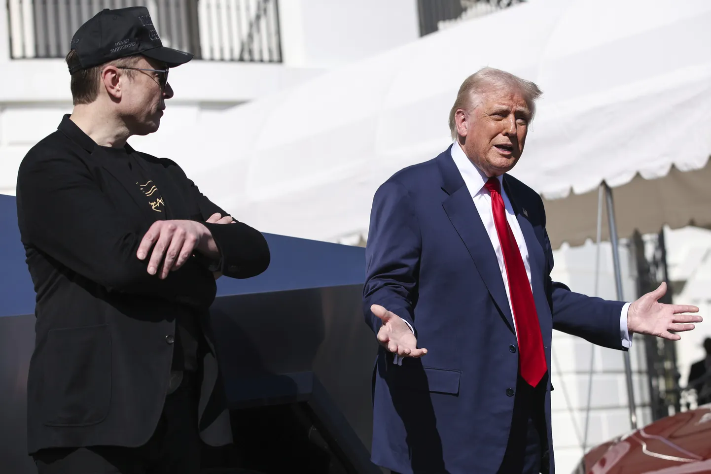 Дональд Трамп и Илон Маск