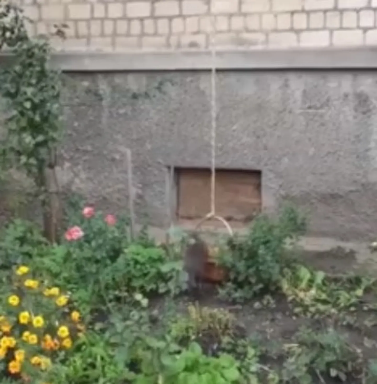 Скриншот видео.