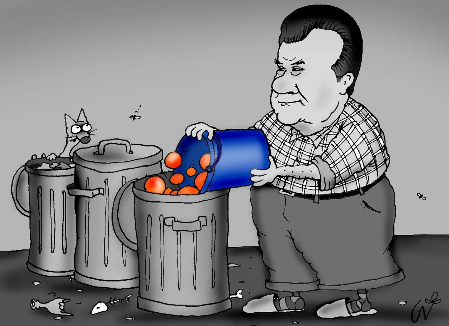 Artikli foto