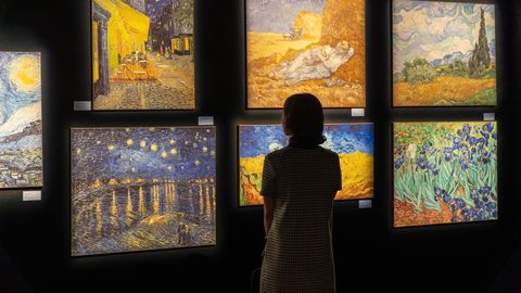 Tallinnasse jõuab rahvusvaheline elamusnäitus Van Gogh'i loo