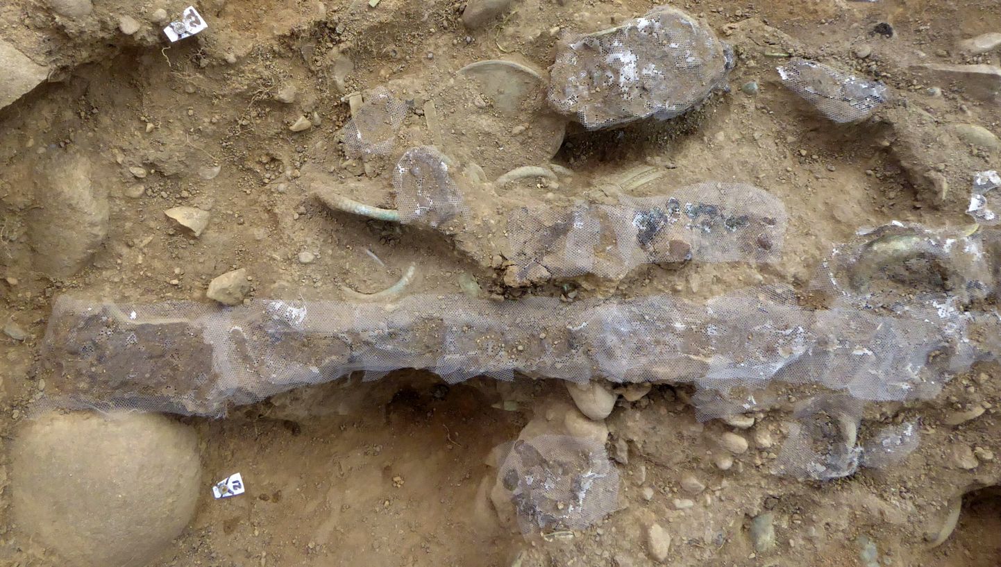 Aardekütt Mariusz Stepieni leidude seas oli ka 3000-aastane mõõk