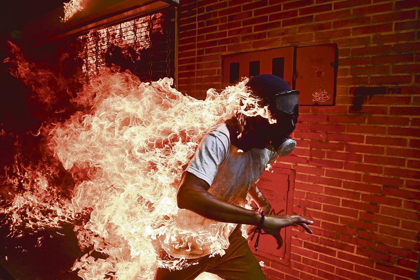 2018. aasta parima pressifoto tegi Ronaldo Schemidt. Pildil José Víctor Salazar Balzat, kes süttis põlema meeleavalduste käigus.