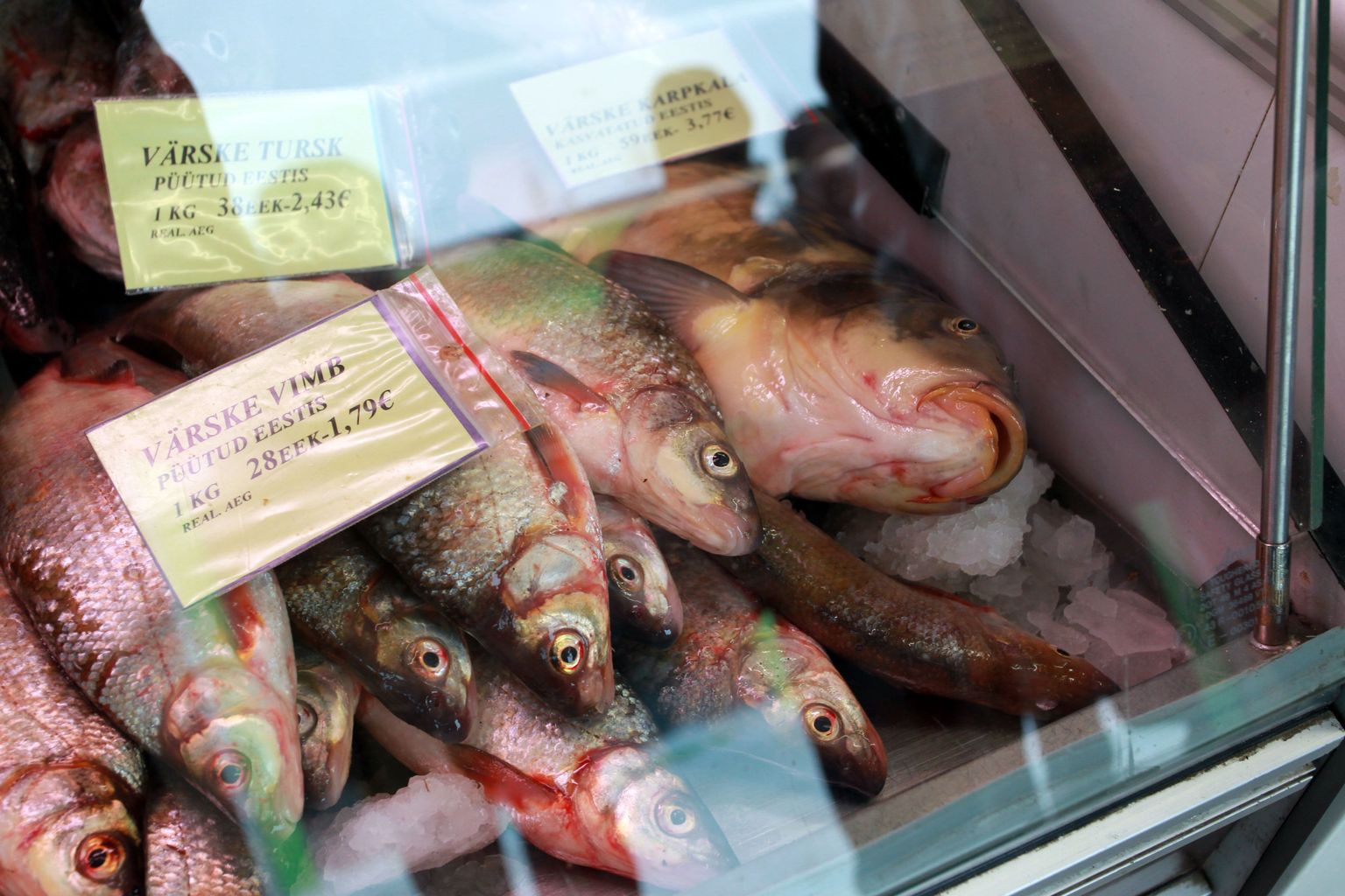 Värske kala oli Kristiine turu avamismagnet - Tallinn - Postimees ...