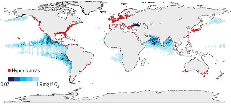 Surnud tsoonid maailmameres. Sinisega on kujutatud avamere surnud tsoonid, punasega rannikualade omad.