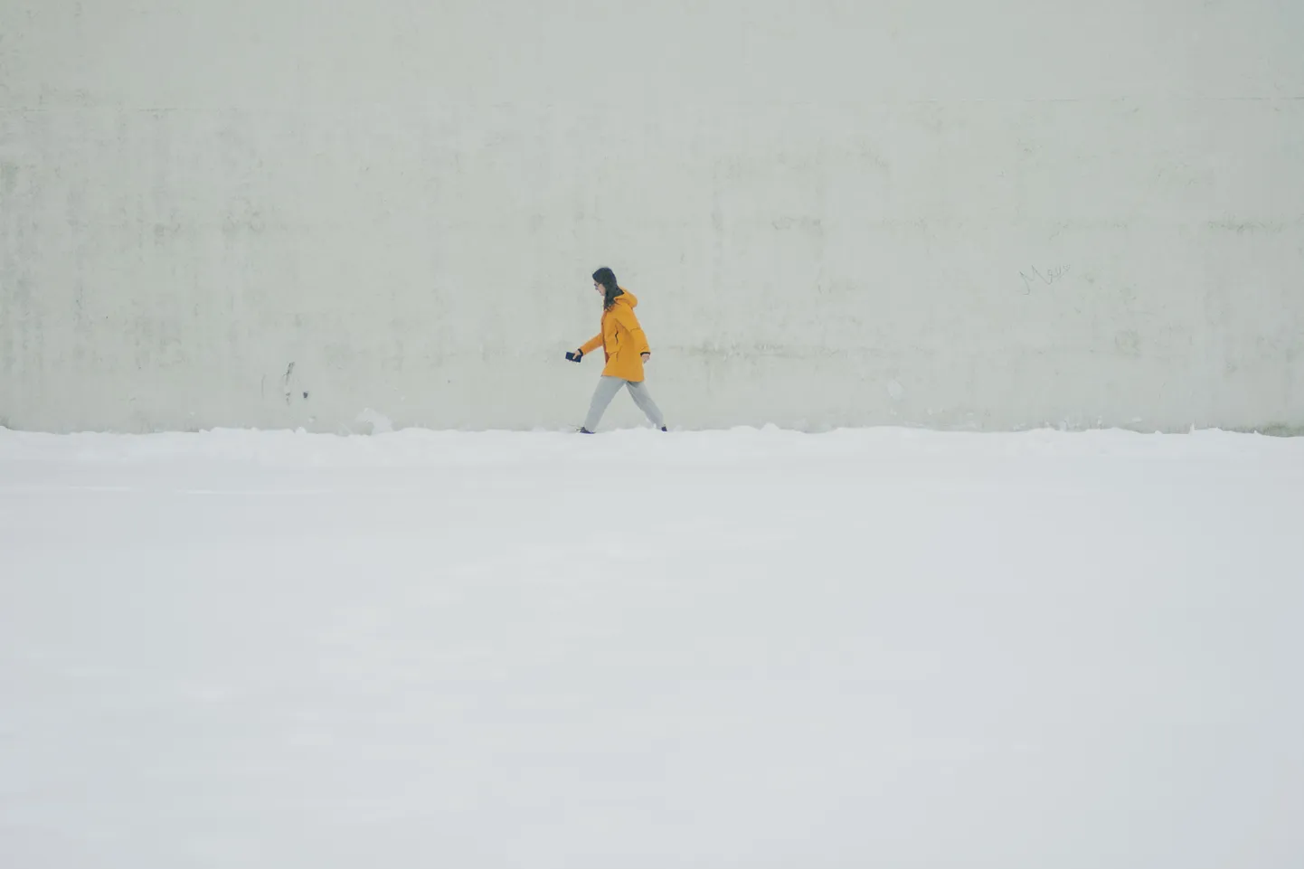 Фото статьи