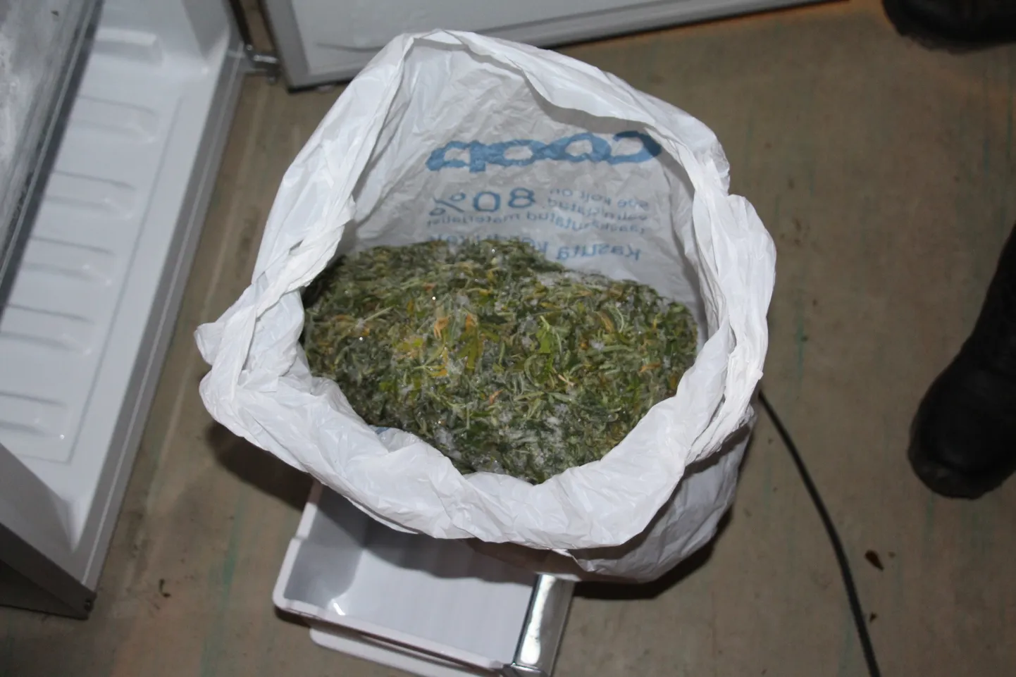 Politseinikud leidsid mehe kodust ligi kaheksa kilogrammi kanepit, mis oli pakendatud klaaspurkidesse, kile- ja paberkottidesse.