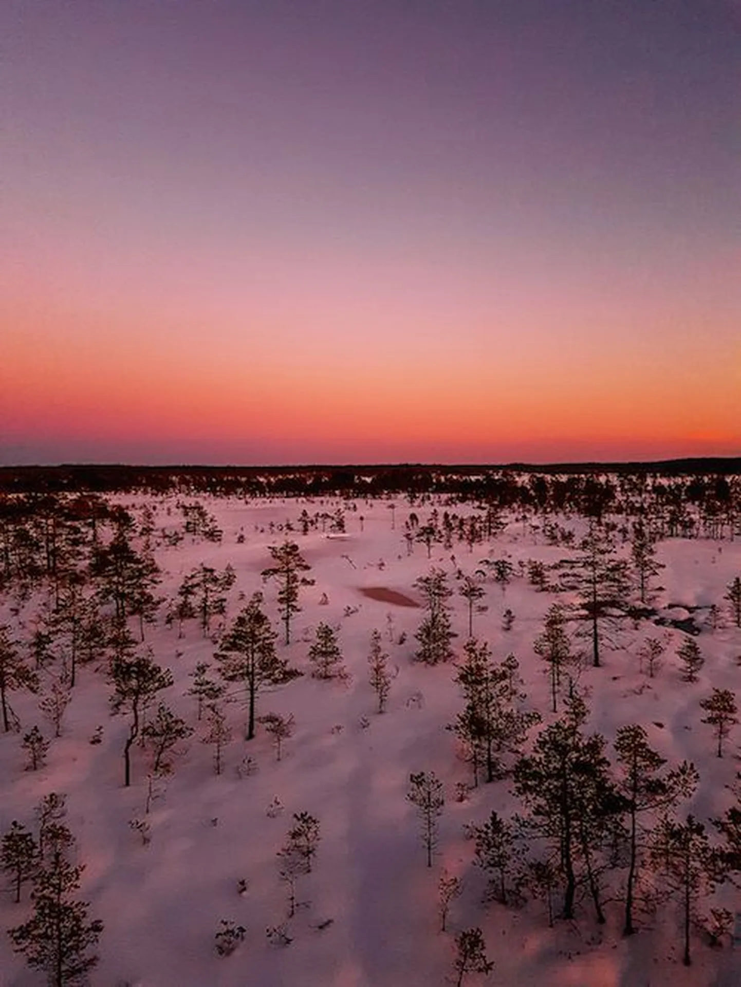 Enne pildistama asumist tasuks objektiiv puhtaks teha.
