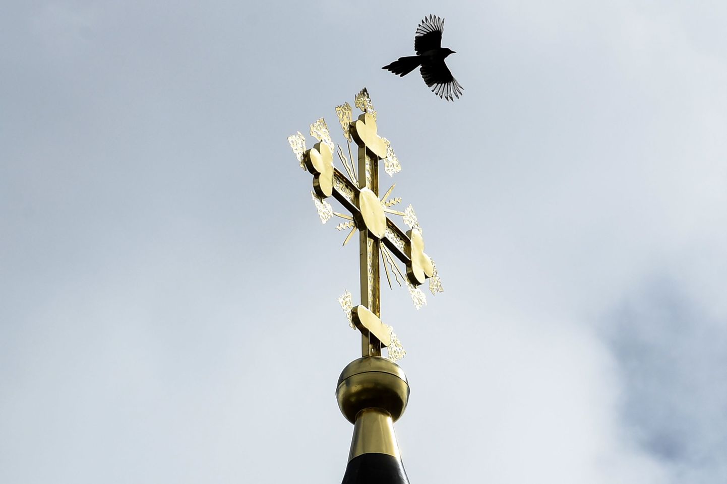 Lind lendamas üle õigeusu kiriku torni Moskva lähistel. Foto on illustratiivne.