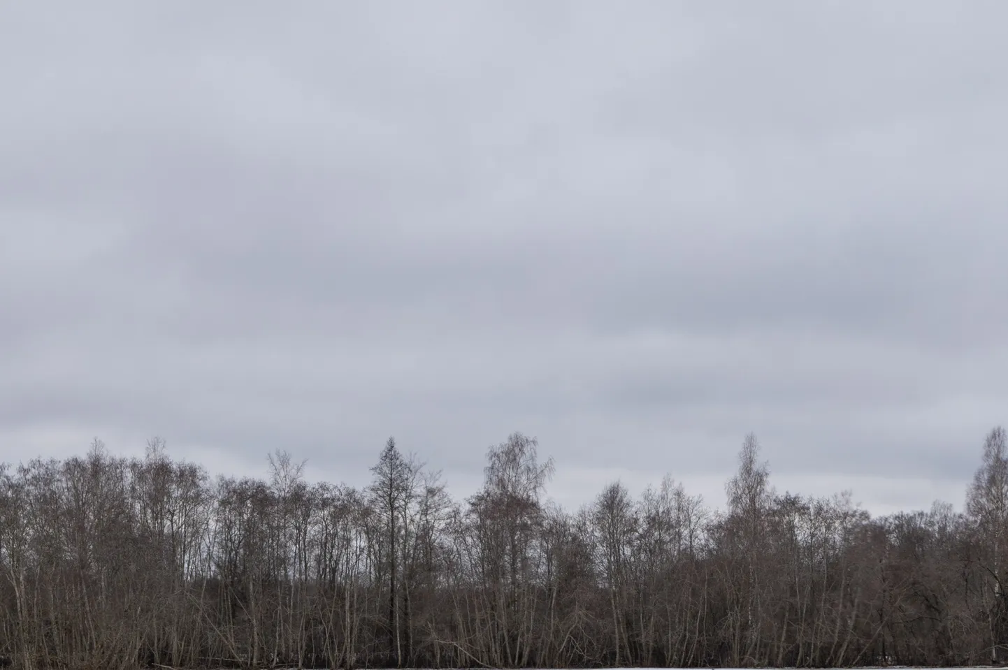 Päevitamisest ei tule meie mail neil päevil suurt midagi välja.