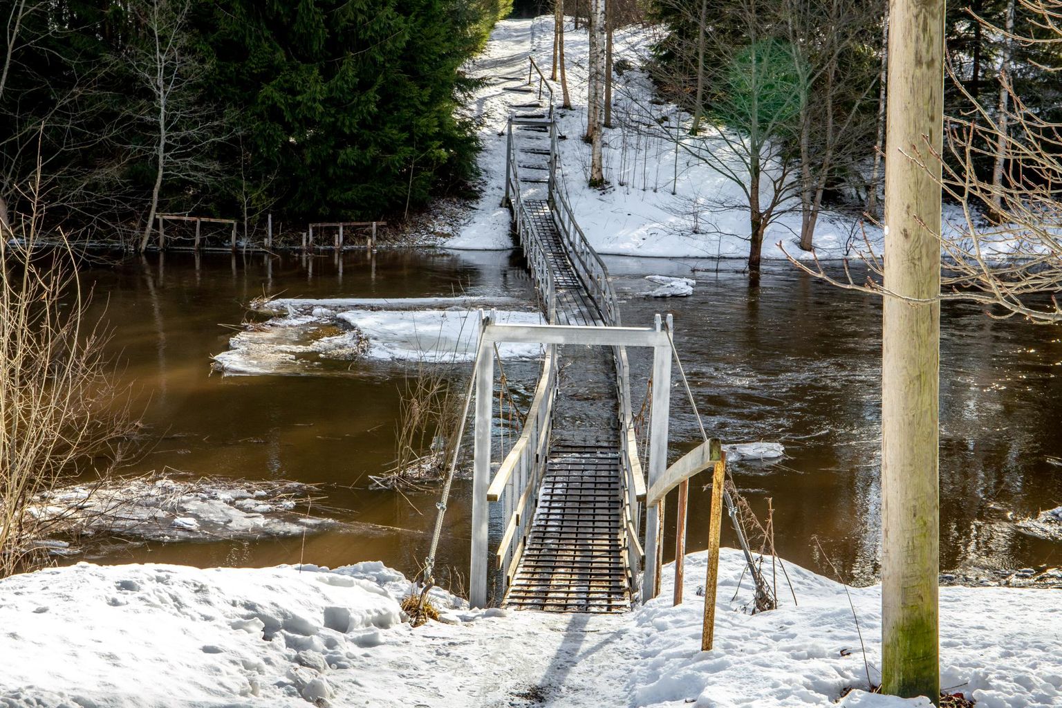 Üks kolmest jalakäijate sillast Sauga jõel Eametsa juures on jäänud vee alla.