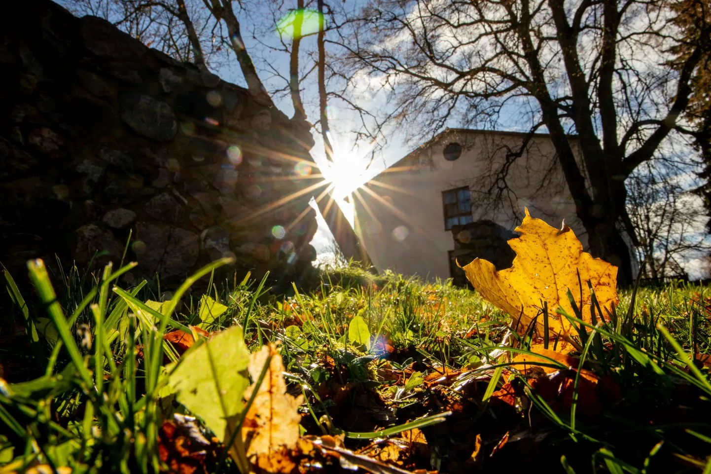 Sügiskuude keskmine õhutemperatuur oli 9,7.