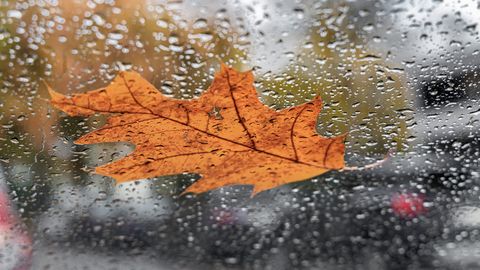 В четверг ожидается порывистый ветер, местами пройдут дожди