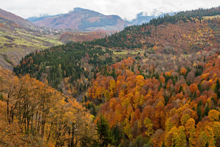 Sügisesed värvid Gruusia mägedes