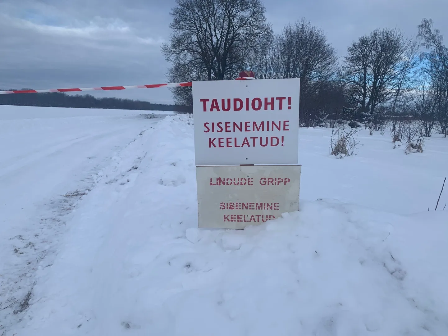 Amet lõpetas piirangud Lääne-Virumaal, kuid üle-eestiline lindude seespidamise nõue jääb kehtima.